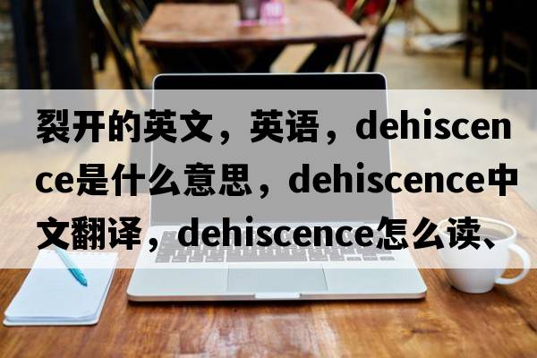 裂開(kāi)的英文，英語(yǔ)，dehiscence是什么意思，dehiscence中文翻譯，dehiscence怎么讀、發(fā)音、用法及例句