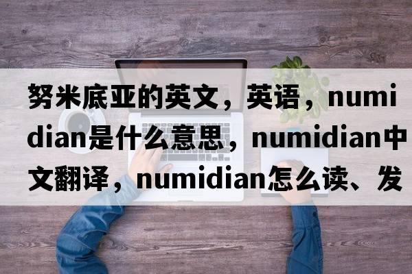 努米底亞的英文，英語(yǔ)，Numidian是什么意思，Numidian中文翻譯，Numidian怎么讀、發(fā)音、用法及例句