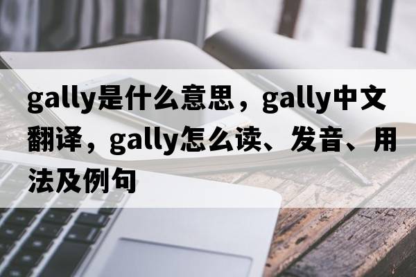 gally是什么意思，gally中文翻譯，gally怎么讀、發(fā)音、用法及例句