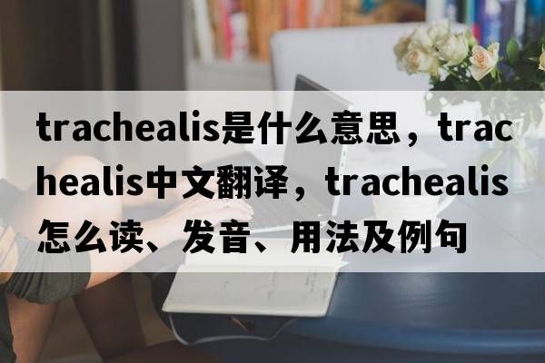 trachealis是什么意思，trachealis中文翻譯，trachealis怎么讀、發(fā)音、用法及例句