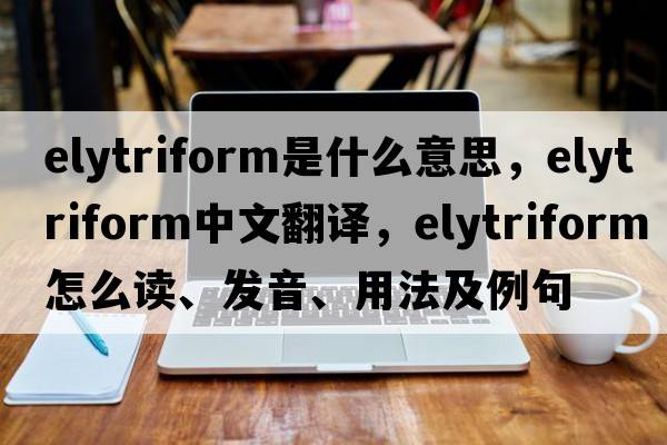elytriform是什么意思，elytriform中文翻譯，elytriform怎么讀、發(fā)音、用法及例句