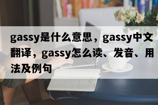 gassy是什么意思，gassy中文翻譯，gassy怎么讀、發(fā)音、用法及例句