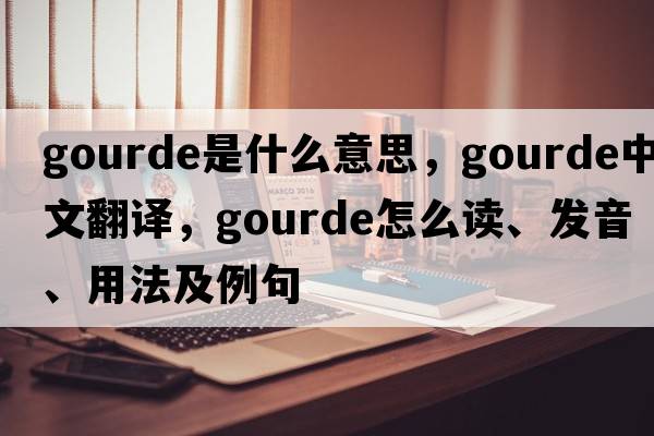 gourde是什么意思，gourde中文翻譯，gourde怎么讀、發(fā)音、用法及例句