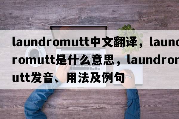laundromutt中文翻譯，laundromutt是什么意思，laundromutt發(fā)音、用法及例句
