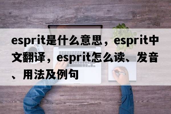 esprit是什么意思，esprit中文翻譯，esprit怎么讀、發(fā)音、用法及例句