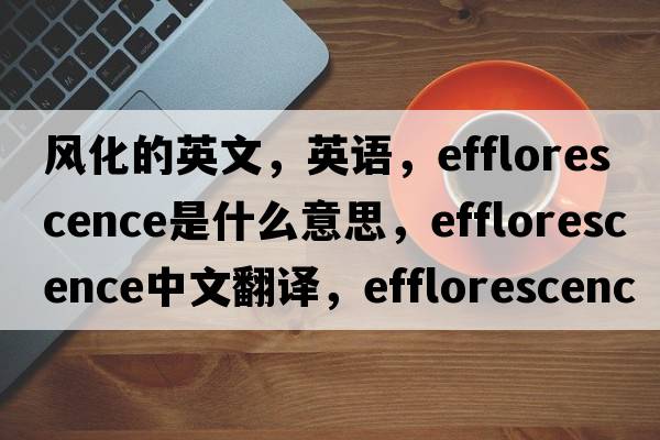 風(fēng)化的英文，英語(yǔ)，efflorescence是什么意思，efflorescence中文翻譯，efflorescence怎么讀、發(fā)音、用法及例句