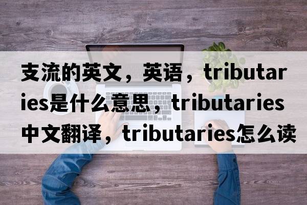 支流的英文，英語(yǔ)，tributaries是什么意思，tributaries中文翻譯，tributaries怎么讀、發(fā)音、用法及例句