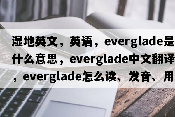 濕地英文，英語(yǔ)，everglade是什么意思，everglade中文翻譯，everglade怎么讀、發(fā)音、用法及例句