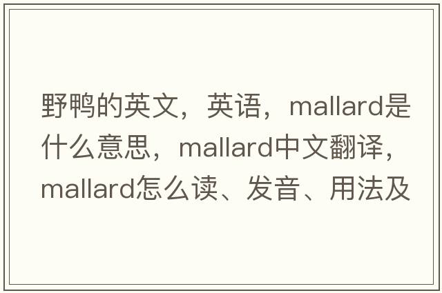 野鴨的英文，英語(yǔ)，mallard是什么意思，mallard中文翻譯，mallard怎么讀、發(fā)音、用法及例句