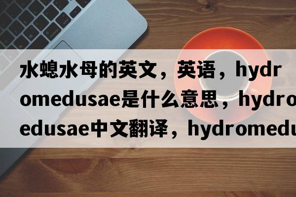 水螅水母的英文，英語(yǔ)，hydromedusae是什么意思，hydromedusae中文翻譯，hydromedusae怎么讀、發(fā)音、用法及例句