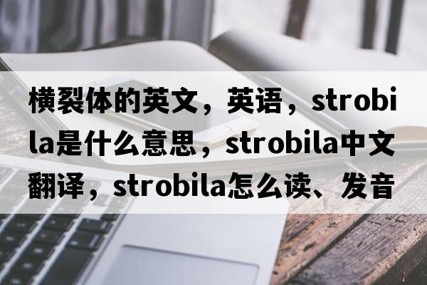 橫裂體的英文，英語(yǔ)，strobila是什么意思，strobila中文翻譯，strobila怎么讀、發(fā)音、用法及例句