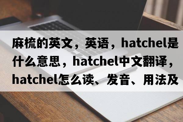 麻梳的英文，英語(yǔ)，hatchel是什么意思，hatchel中文翻譯，hatchel怎么讀、發(fā)音、用法及例句