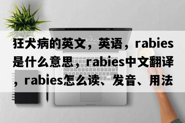 狂犬病的英文，英語(yǔ)，rabies是什么意思，rabies中文翻譯，rabies怎么讀、發(fā)音、用法及例句