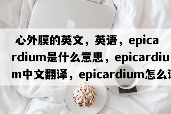  心外膜的英文，英語(yǔ)，epicardium是什么意思，epicardium中文翻譯，epicardium怎么讀、發(fā)音、用法及例句