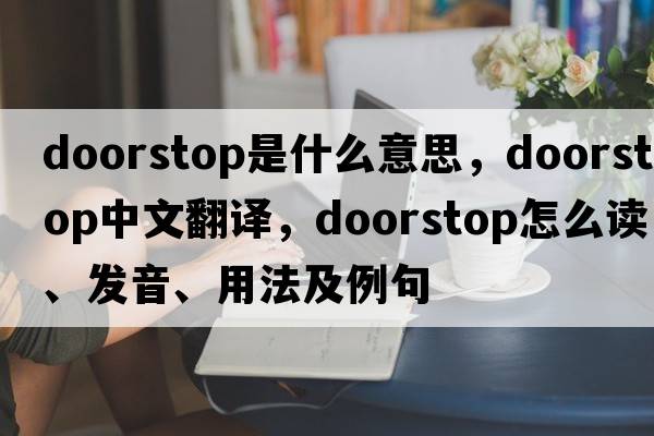 doorstop是什么意思，doorstop中文翻譯，doorstop怎么讀、發(fā)音、用法及例句