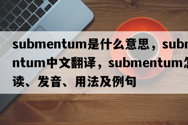 submentum是什么意思，submentum中文翻譯，submentum怎么讀、發(fā)音、用法及例句