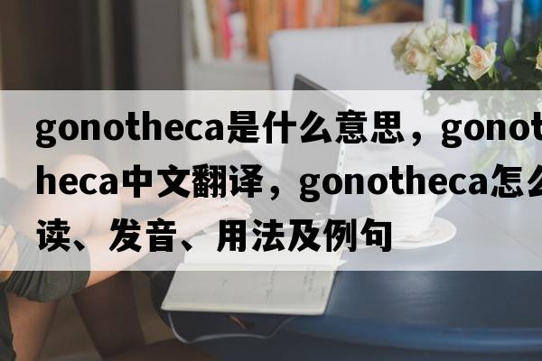 gonotheca是什么意思，gonotheca中文翻譯，gonotheca怎么讀、發(fā)音、用法及例句