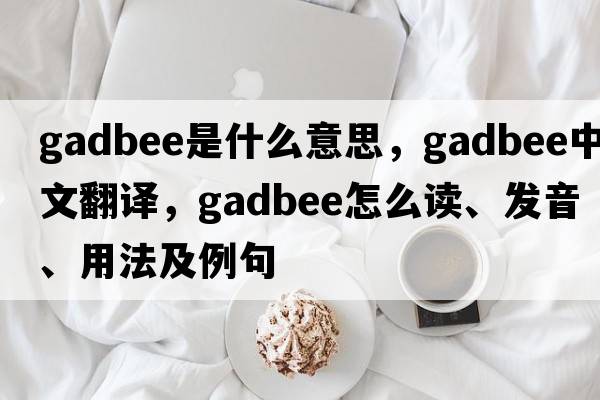 gadbee是什么意思，gadbee中文翻譯，gadbee怎么讀、發(fā)音、用法及例句