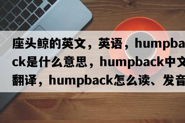 座頭鯨的英文，英語(yǔ)，humpback是什么意思，humpback中文翻譯，humpback怎么讀、發(fā)音、用法及例句