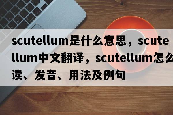 scutellum是什么意思，scutellum中文翻譯，scutellum怎么讀、發(fā)音、用法及例句