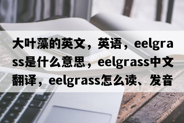 大葉藻的英文，英語(yǔ)，eelgrass是什么意思，eelgrass中文翻譯，eelgrass怎么讀、發(fā)音、用法及例句