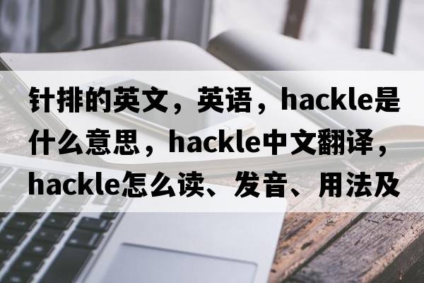針排的英文，英語(yǔ)，hackle是什么意思，hackle中文翻譯，hackle怎么讀、發(fā)音、用法及例句