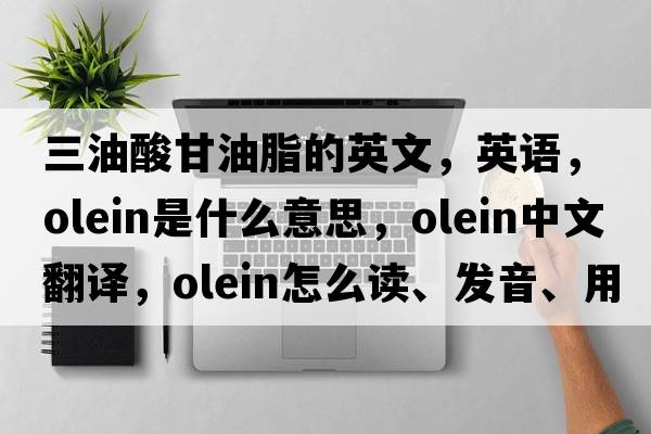 三油酸甘油脂的英文，英語(yǔ)，olein是什么意思，olein中文翻譯，olein怎么讀、發(fā)音、用法及例句