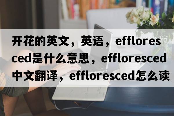 開(kāi)花的英文，英語(yǔ)，effloresced是什么意思，effloresced中文翻譯，effloresced怎么讀、發(fā)音、用法及例句