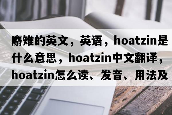 麝雉的英文，英語(yǔ)，hoatzin是什么意思，hoatzin中文翻譯，hoatzin怎么讀、發(fā)音、用法及例句