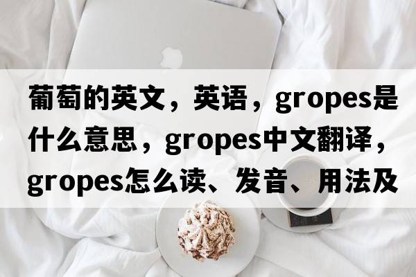 葡萄的英文，英語(yǔ)，gropes是什么意思，gropes中文翻譯，gropes怎么讀、發(fā)音、用法及例句