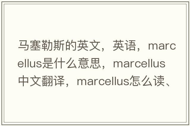 馬塞勒斯的英文，英語(yǔ)，Marcellus是什么意思，Marcellus中文翻譯，Marcellus怎么讀、發(fā)音、用法及例句
