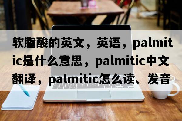 軟脂酸的英文，英語(yǔ)，palmitic是什么意思，palmitic中文翻譯，palmitic怎么讀、發(fā)音、用法及例句