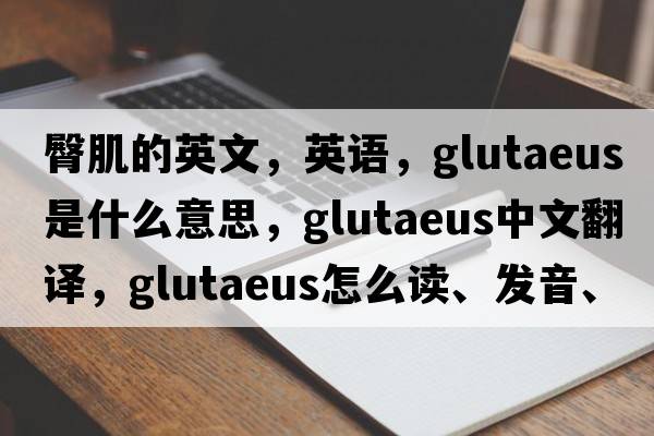 臀肌的英文，英語(yǔ)，glutaeus是什么意思，glutaeus中文翻譯，glutaeus怎么讀、發(fā)音、用法及例句