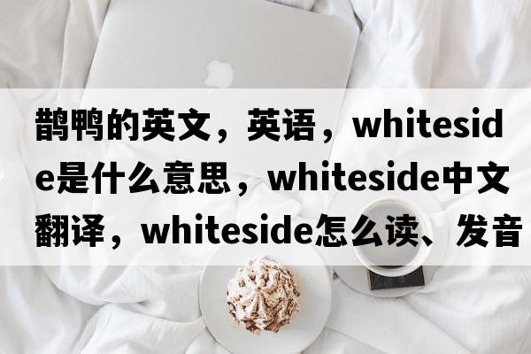 鵲鴨的英文，英語(yǔ)，Whiteside是什么意思，Whiteside中文翻譯，Whiteside怎么讀、發(fā)音、用法及例句