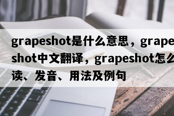 grapeshot是什么意思，grapeshot中文翻譯，grapeshot怎么讀、發(fā)音、用法及例句