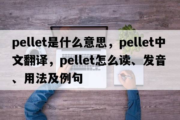 pellet是什么意思，pellet中文翻譯，pellet怎么讀、發(fā)音、用法及例句