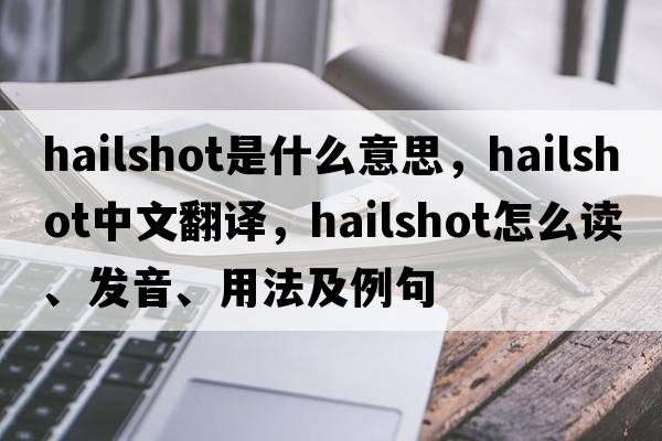 hailshot是什么意思，hailshot中文翻譯，hailshot怎么讀、發(fā)音、用法及例句