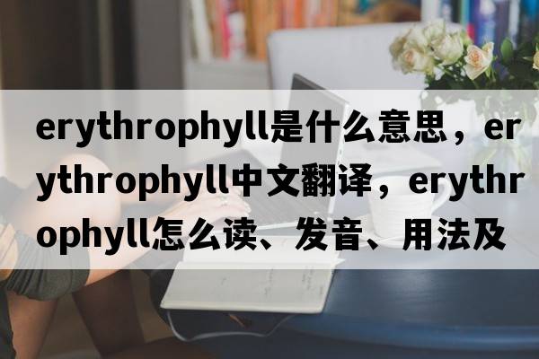 erythrophyll是什么意思，erythrophyll中文翻譯，erythrophyll怎么讀、發(fā)音、用法及例句