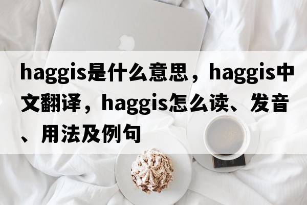 haggis是什么意思，haggis中文翻譯，haggis怎么讀、發(fā)音、用法及例句