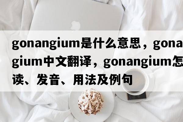 gonangium是什么意思，gonangium中文翻譯，gonangium怎么讀、發(fā)音、用法及例句
