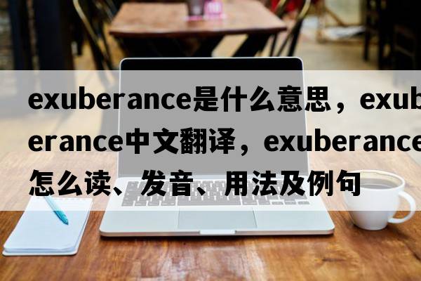 exuberance是什么意思，exuberance中文翻譯，exuberance怎么讀、發(fā)音、用法及例句