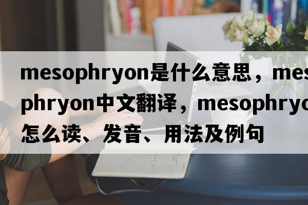 mesophryon是什么意思，mesophryon中文翻譯，mesophryon怎么讀、發(fā)音、用法及例句