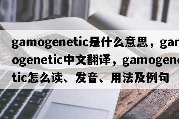 gamogenetic是什么意思，gamogenetic中文翻譯，gamogenetic怎么讀、發(fā)音、用法及例句