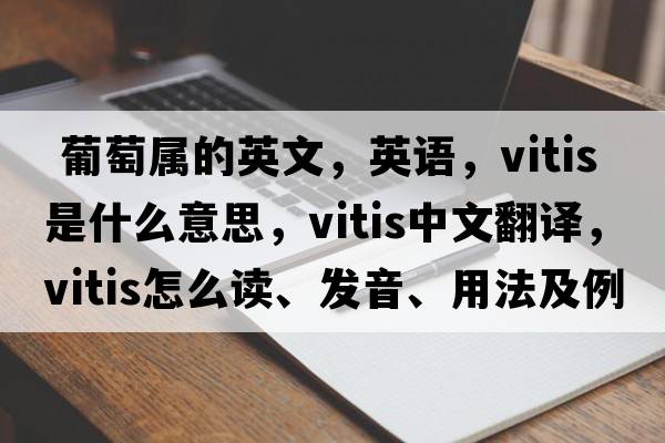  葡萄屬的英文，英語(yǔ)，Vitis是什么意思，Vitis中文翻譯，Vitis怎么讀、發(fā)音、用法及例句