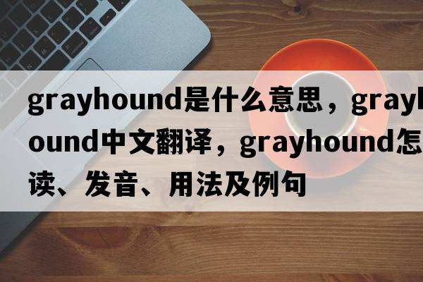 grayhound是什么意思，grayhound中文翻譯，grayhound怎么讀、發(fā)音、用法及例句