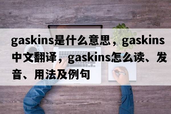 Gaskins是什么意思，Gaskins中文翻譯，Gaskins怎么讀、發(fā)音、用法及例句