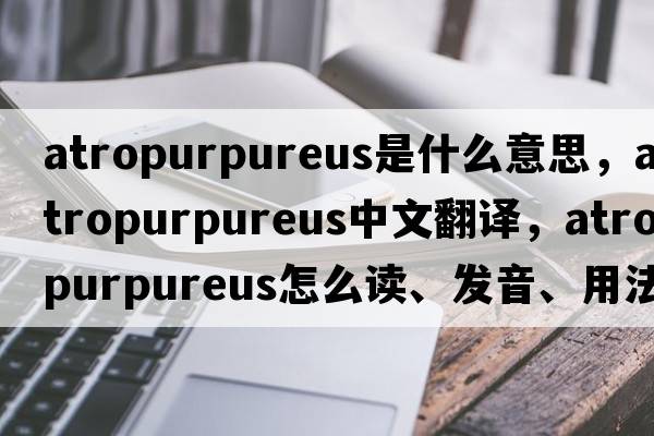 atropurpureus是什么意思，atropurpureus中文翻譯，atropurpureus怎么讀、發(fā)音、用法及例句