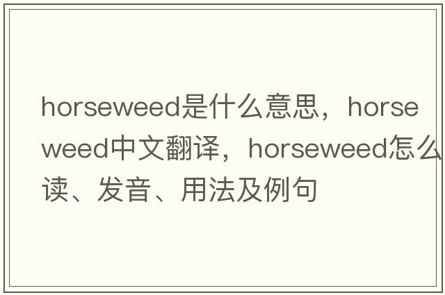 horseweed是什么意思，horseweed中文翻譯，horseweed怎么讀、發(fā)音、用法及例句