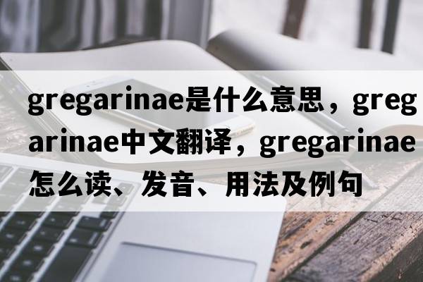 gregarinae是什么意思，gregarinae中文翻譯，gregarinae怎么讀、發(fā)音、用法及例句