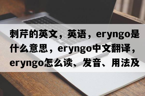 刺芹的英文，英語(yǔ)，eryngo是什么意思，eryngo中文翻譯，eryngo怎么讀、發(fā)音、用法及例句